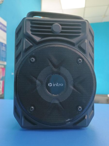 портативная колонка Intro BRW290 в Иркутск