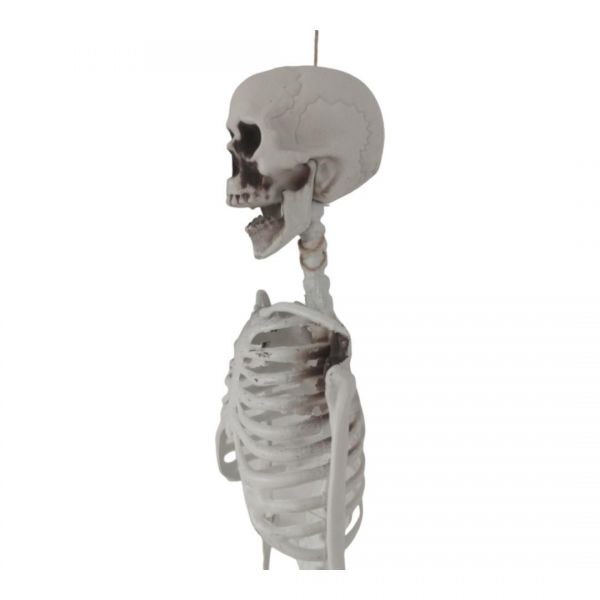 Купить Скелет Пластмасса 60см в Иркутск за 249 руб.