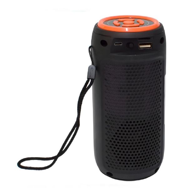 Купить GREATNICE GTS-1731 (Колонка портативная) в Новосибирск за 900 руб.