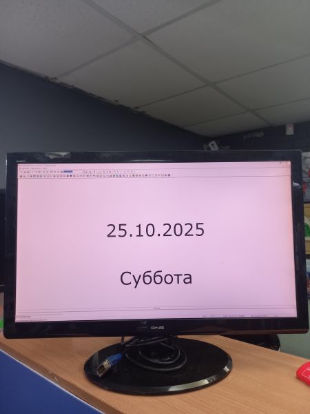 Купить DNS WD2110 в Томск за 1700 руб.
