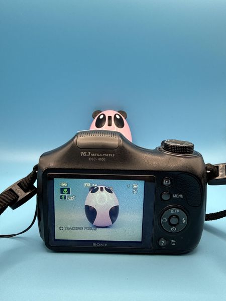 Купить Sony Cyber-shot DSC-H100 (СЗУ не требуется) в Томск за 2300 руб.