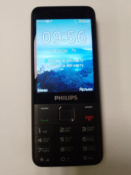 Купить Philips Xenium E335 Duos в Новосибирск за 949 руб.