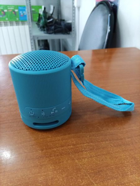 портативная колонка Sony SRS-XB100 в Ангарск