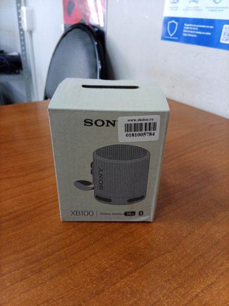 портативная колонка Sony SRS-XB100 в Ангарск