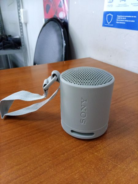 портативная колонка Sony SRS-XB100 в Ангарск