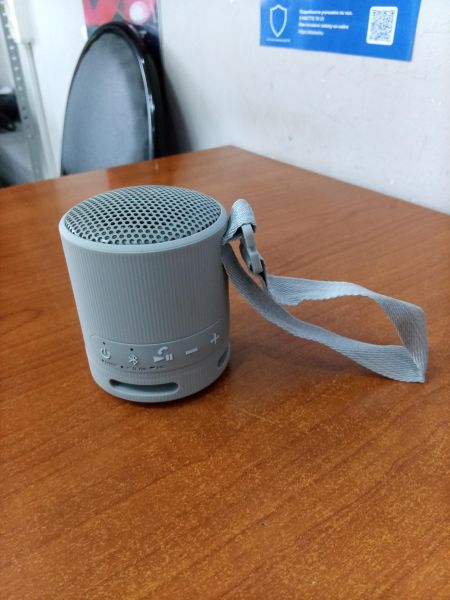 портативная колонка Sony SRS-XB100 в Ангарск