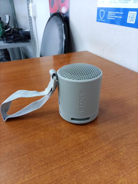 портативная колонка Sony SRS-XB100 в Ангарск