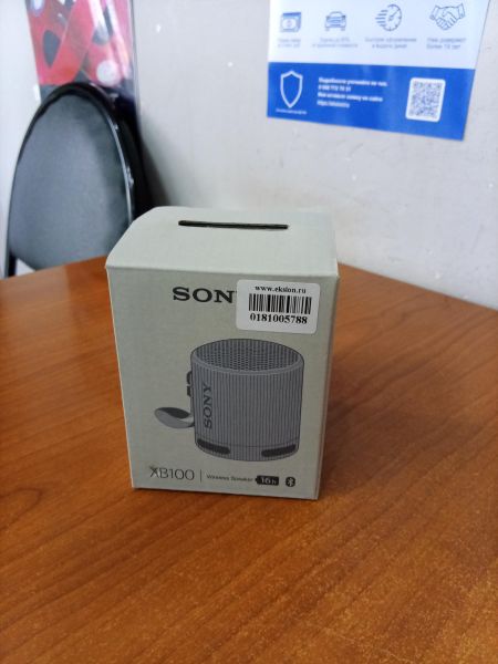 портативная колонка Sony SRS-XB100 в Ангарск