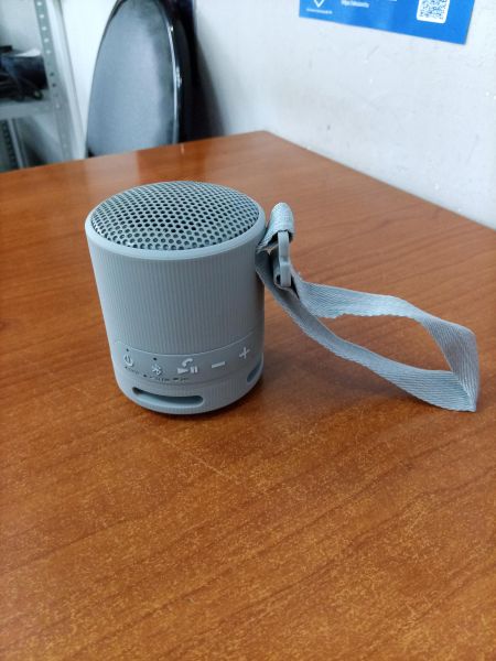 портативная колонка Sony SRS-XB100 в Ангарск