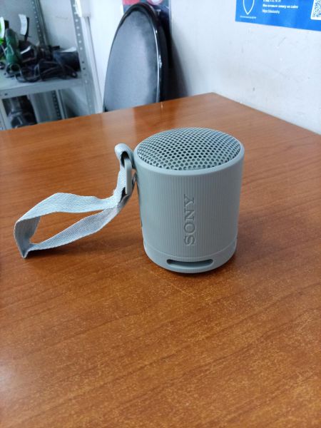 портативная колонка Sony SRS-XB100 в Ангарск