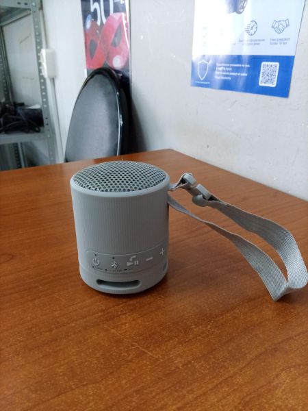 портативная колонка Sony SRS-XB100 в Ангарск