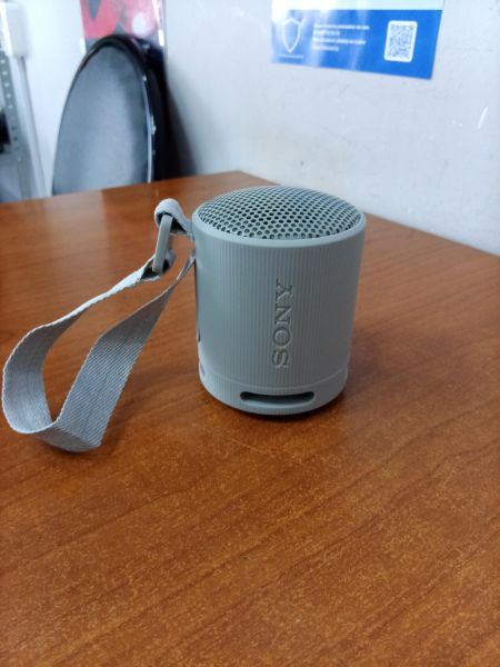 портативная колонка Sony SRS-XB100 в Ангарск