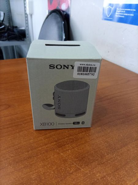 портативная колонка Sony SRS-XB100 в Ангарск