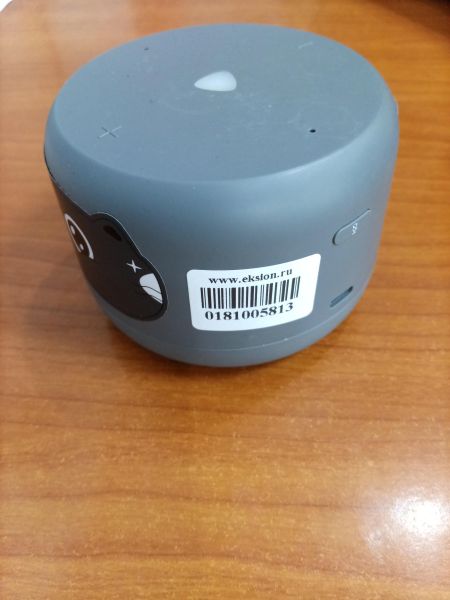 умная колонка Яндекс Станция Лайт 2 (YNDX-00028) с СЗУ в Ангарск
