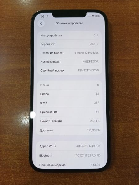 сотовый телефон Apple iPhone 12 Pro Max 256GB в Ангарск