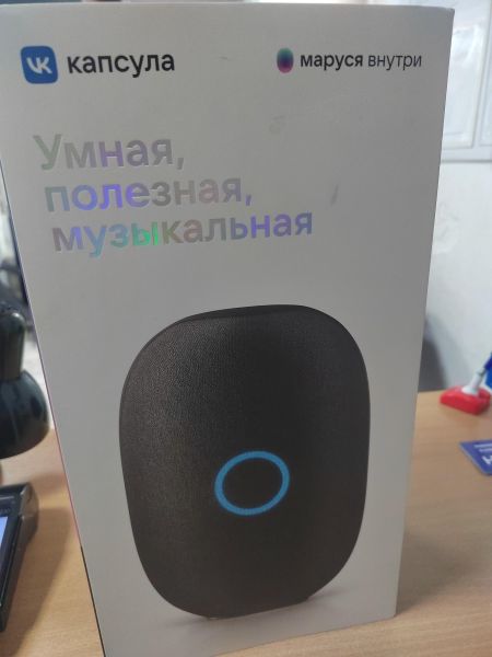 умная колонка VK Капсула (MRC01) с СЗУ в Ангарск