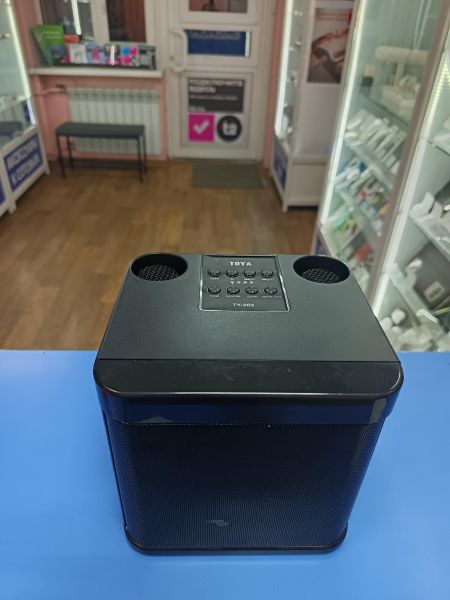 портативная колонка TOYA TY-203 в Иркутск