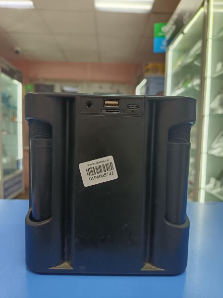 портативная колонка TOYA TY-203 в Иркутск