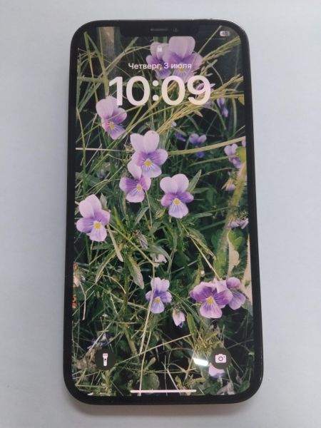 Купить Apple iPhone 12 Pro Max 128GB в Иркутск за 28300 руб.
