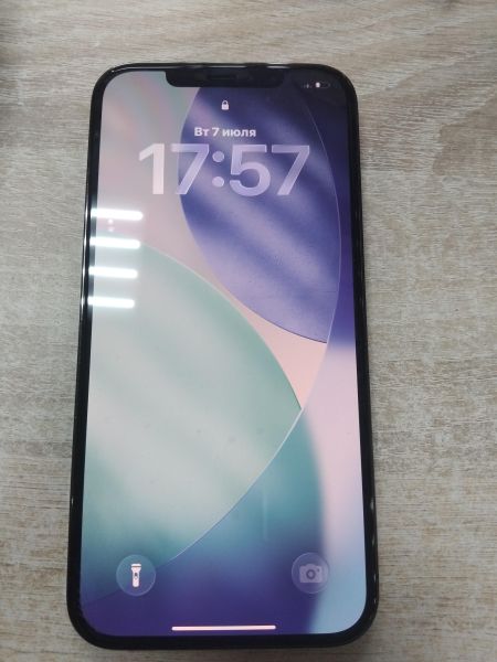 сотовый телефон Apple iPhone 12 Pro Max 256GB в Иркутск
