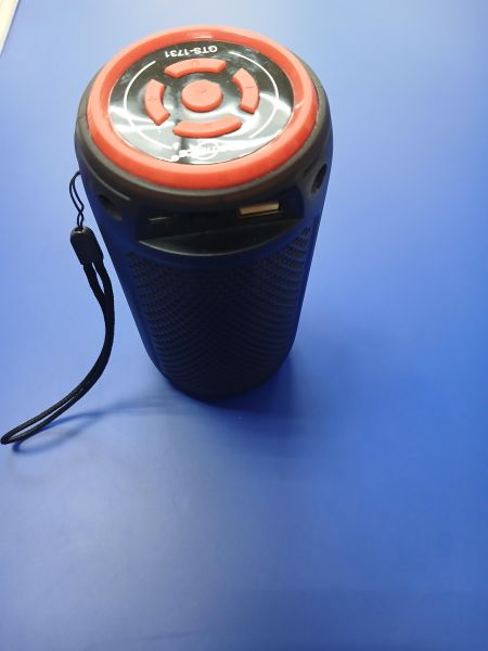 портативная колонка Greatnice GTS-1731 в Иркутск