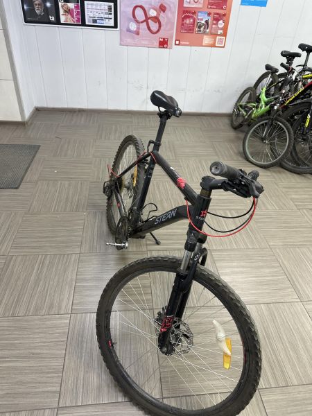 Купить Stern Dynamic 2.0 (26, 21скр) в Ангарск за 2900 руб.