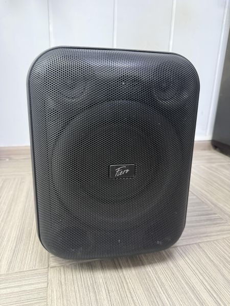 портативная колонка Fiero Emotion 100 (FR800) в Ангарск