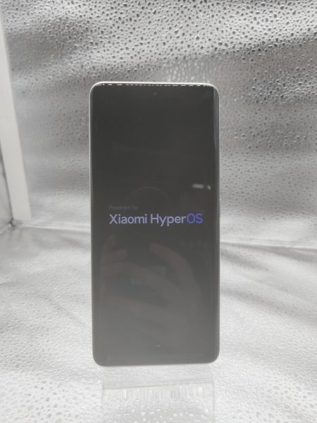 Купить Xiaomi Redmi Note 13 Pro+ 12/512GB (23090RA98G) Duos в Новосибирск за 14900 руб.