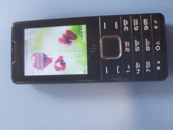 Купить Fly DS116+ Duos в Новосибирск за 800 руб.