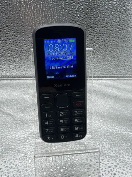сотовый телефон Xenium X170 Duos в Новосибирск