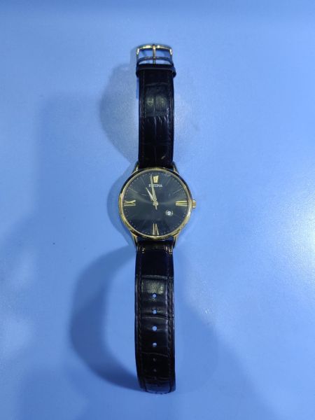 Купить FESTINA F16825 в Иркутск за 1000 руб.