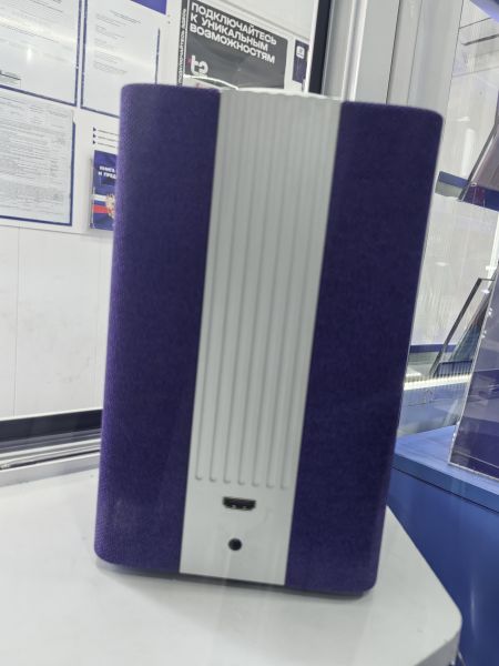 умная колонка Яндекс Станция (YNDX-0001) с СЗУ в Иркутск