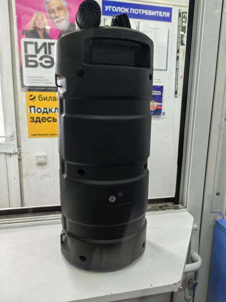 портативная колонка Sing-e ZQS4239W в Иркутск