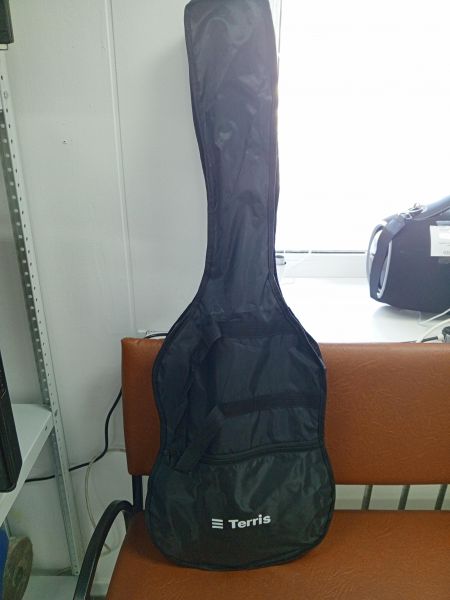 Купить TERRIS без модели (электрогитара) в Усть-Илимск за 2200 руб.