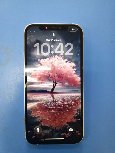 сотовый телефон Apple iPhone 12 128GB в Усть-Илимск