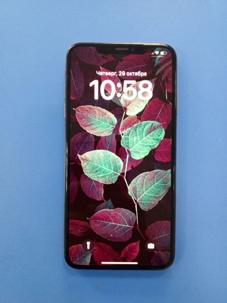 сотовый телефон Apple iPhone XS Max 64GB в Усть-Илимск