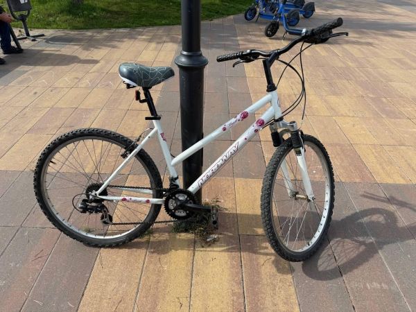 Купить Nordway Frail в Ангарск за 4500 руб.