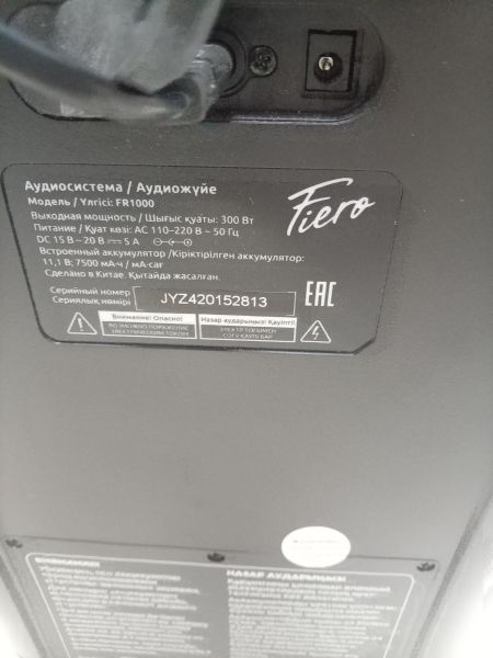 портативная колонка Fiero Emotion 200 (FR1000) в Ангарск