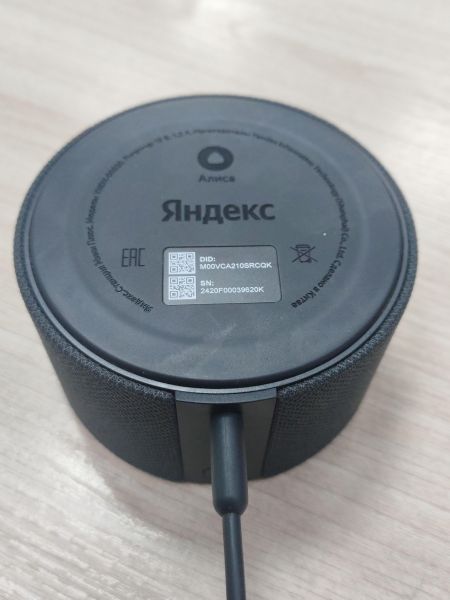 умная колонка Яндекс Станция Мини Плюс (YNDX-00020) с СЗУ в Усть-Илимск