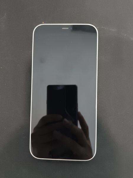 сотовый телефон Apple iPhone 12 Pro Max 256GB в Иркутск