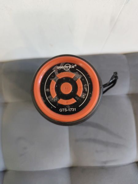 портативная колонка Greatnice GTS-1731 в Иркутск