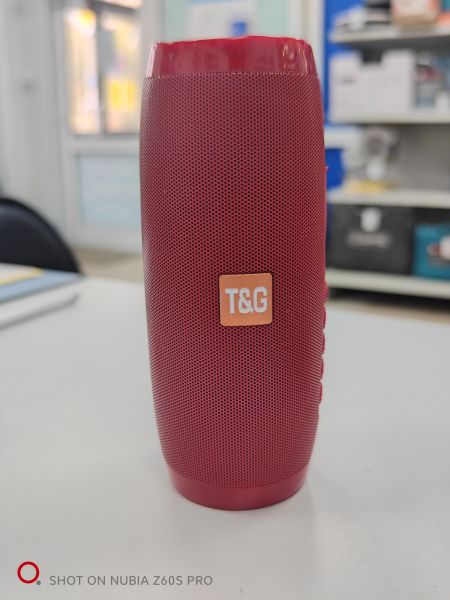 портативная колонка T+G TG-157 в Иркутск