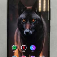 Samsung Galaxy M55 8/256GB (M556E) Duos