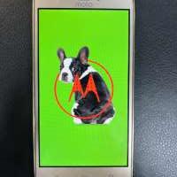 Motorola Moto C Plus (XT1723) Duos