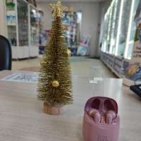 JBL Tune 225TWS (T225TWS)