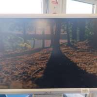 Acer AL1916W