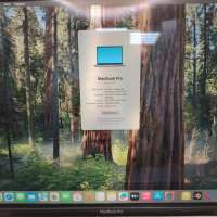 Apple MacBook Pro 16 (2019, A2141, Radeon Pro 5300M)
