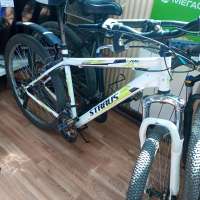 Straus 2661
