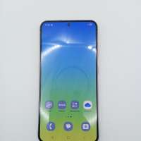 Samsung Galaxy S24 8/256GB (S921B) Duos