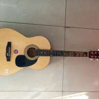 Terris A-01N
